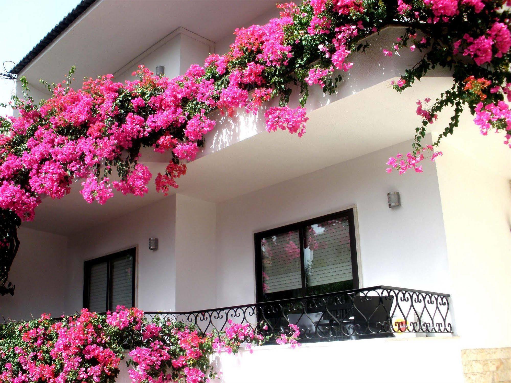 Dolce Cascais Guest House المظهر الخارجي الصورة