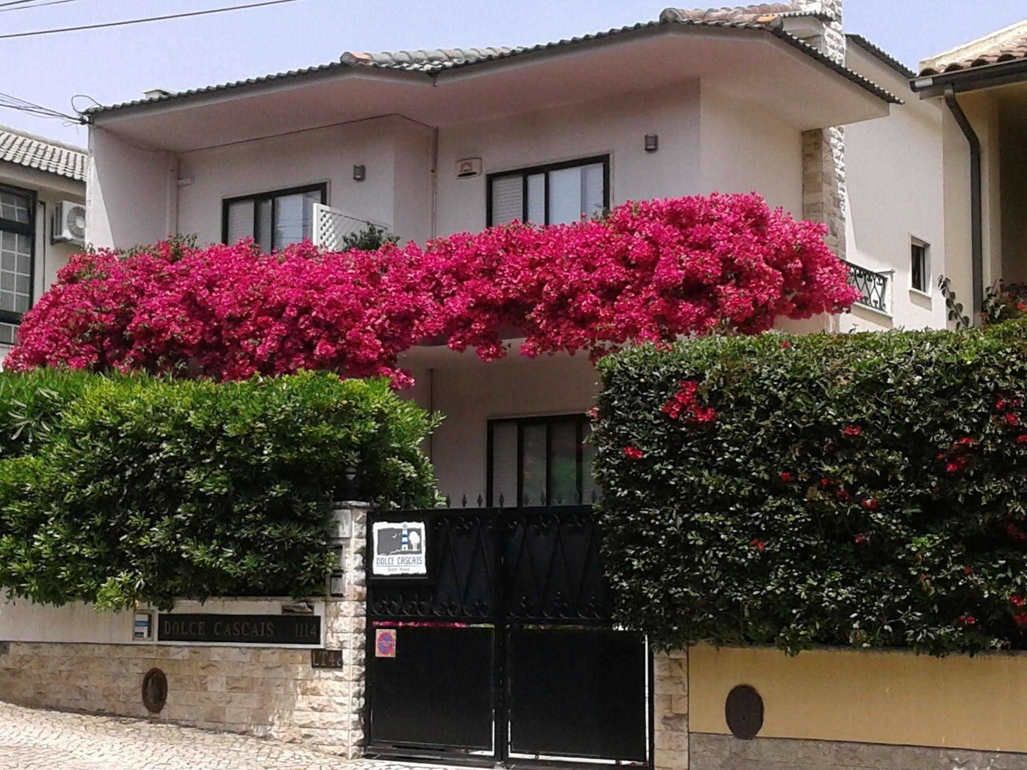 Dolce Cascais Guest House المظهر الخارجي الصورة